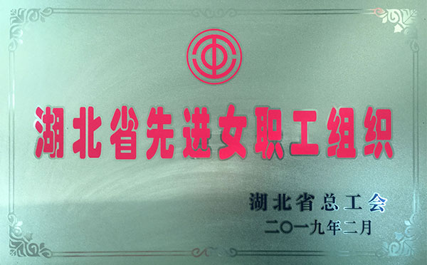 湖北省先進(jìn)女職工組織