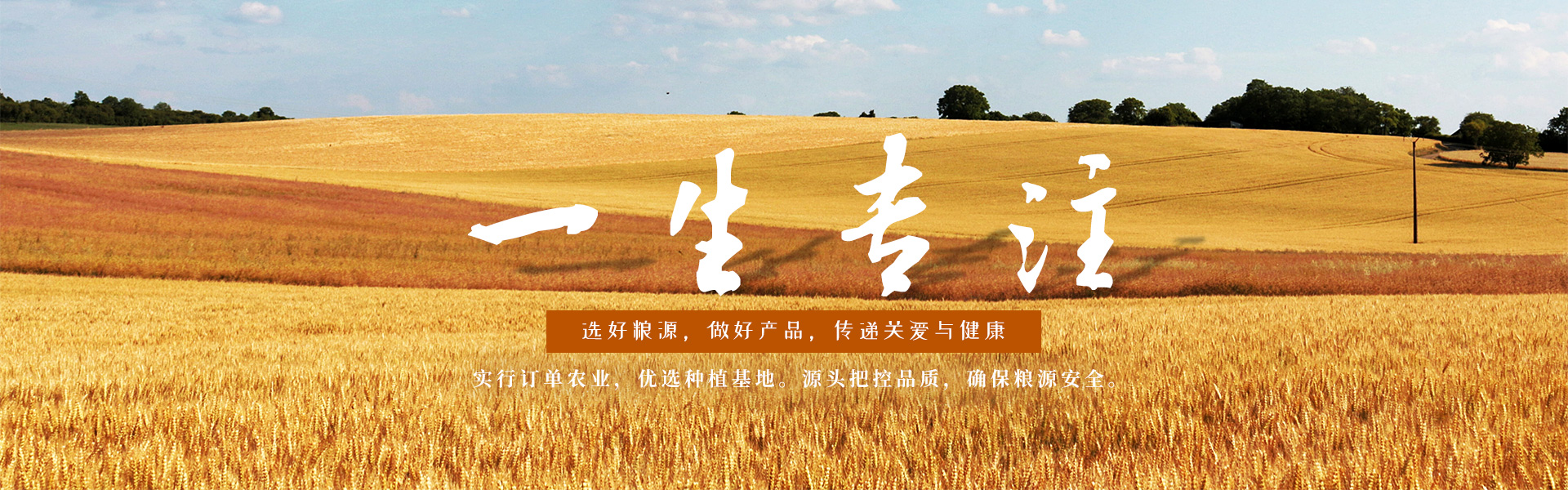 湖北面條廠(chǎng)家